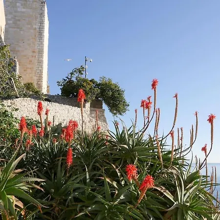 Holiday home Maison La Tropezienne ... New • Fabulous 5* Luxe & Terrasse • 6p. Old Town *